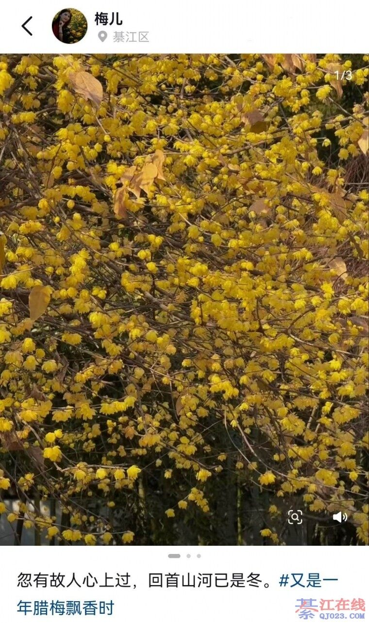 �뽭Ӫ��ɽ�ϵ���÷�����ú�Ŷ��