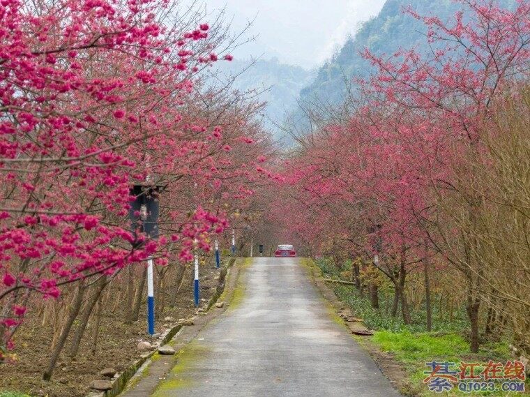 �뽭���Ǵ��ӣ���ߣ�