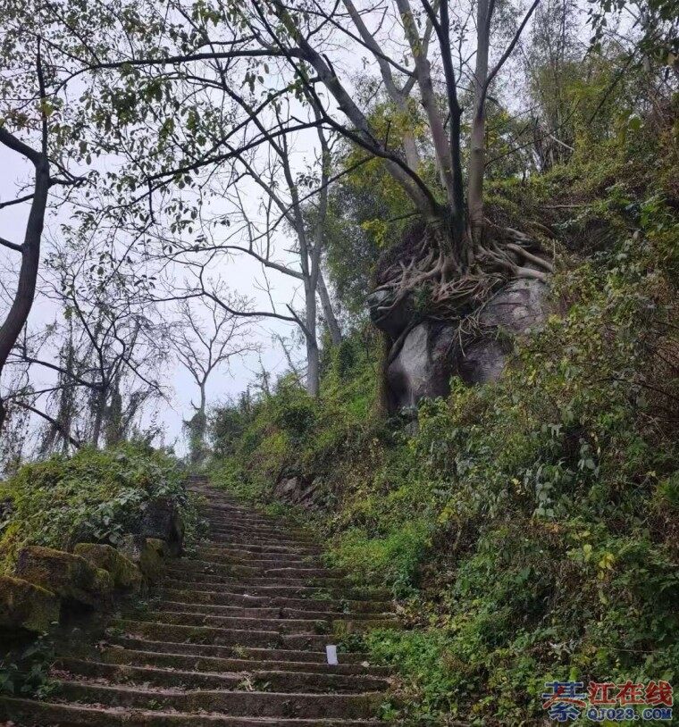 Ѱ����ǭ�ŵ���Ϫ���������Ͻ֣�