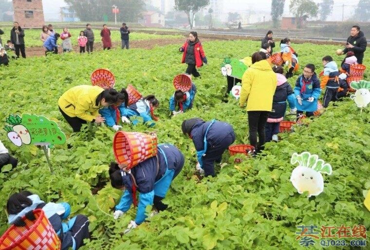 �뽭�ӿ�������¶ȡ���Ʒ�ʵ�����ǭ�������ߵأ�