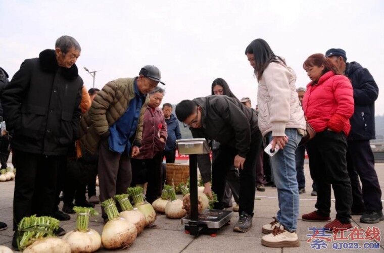 �뽭��ˮ���ܲ�����������