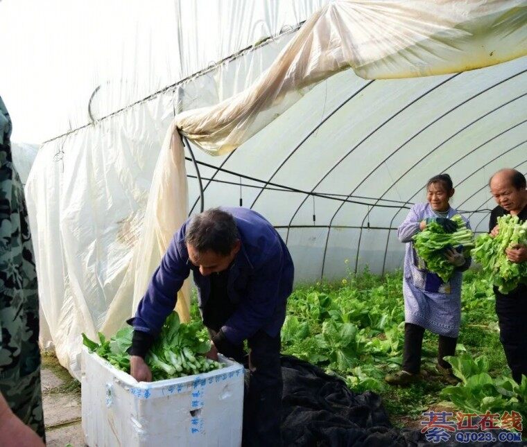 �뽭ð��ũ������壡����45����ҵ��פ