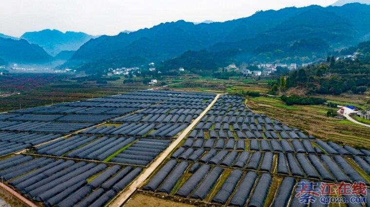 ����ú�Ǵ���·���뽭��ͨ����Ⲩ���������ò���