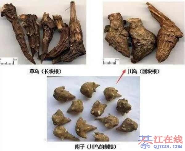 �����ǹ���Ⱦ����ŵ㣡��Щ������Ҫ��