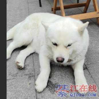 ��׹�  ˭�ҵģ�