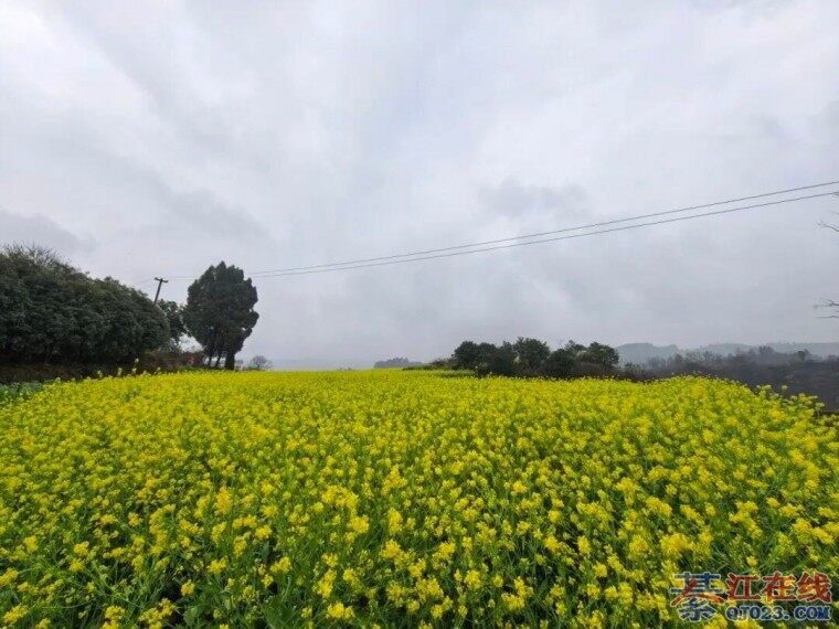 �뽭ʯ�ǵĴ��죬�Ӿ��ݵ�һƬ����������