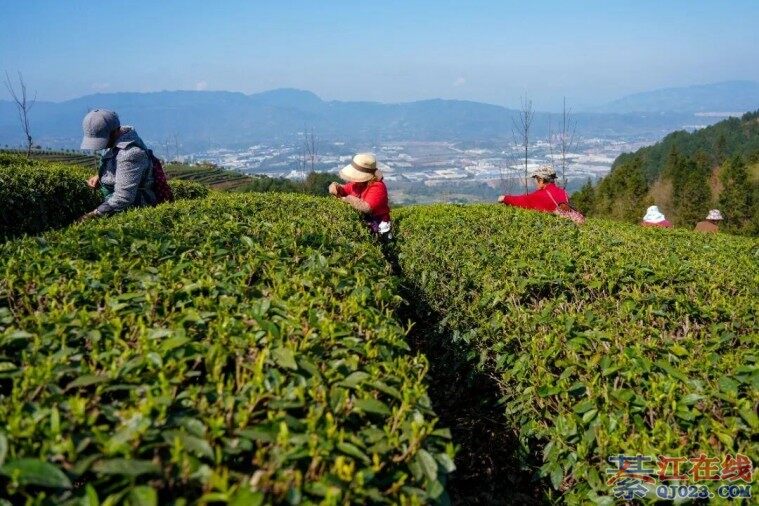 �뽭ʯ���������迪�ɣ�������԰��