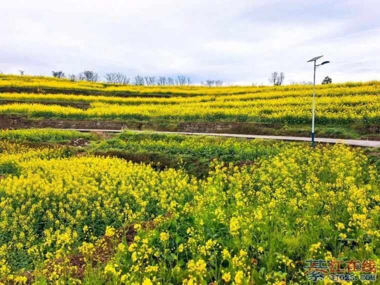 �뽭������Ļ����������ã�������