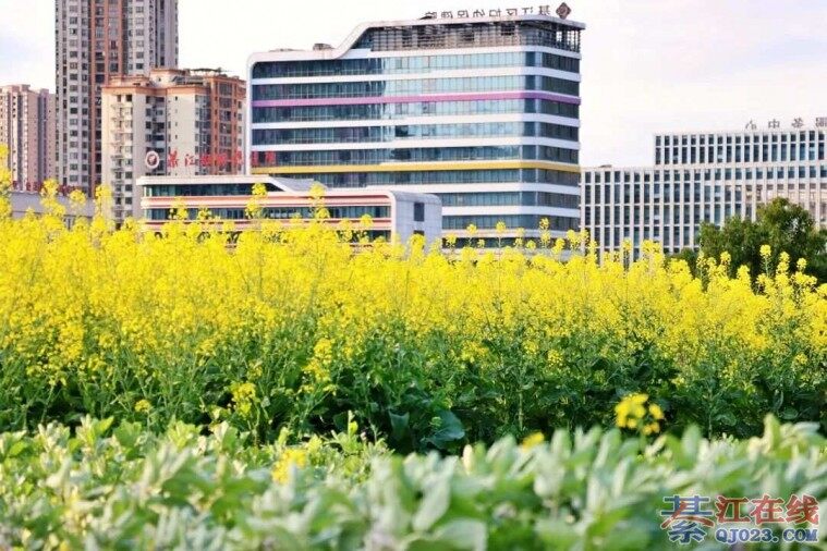 �뽭ͨ���������򿨵㣬����Ұ����Ͳˣ�