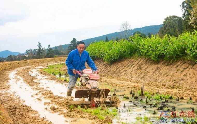 �뽭����ͷ�������֣�