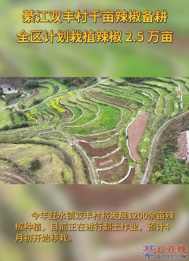 ���������뽭ȫ���ƻ���ֲ���� 2.5 ��Ķ