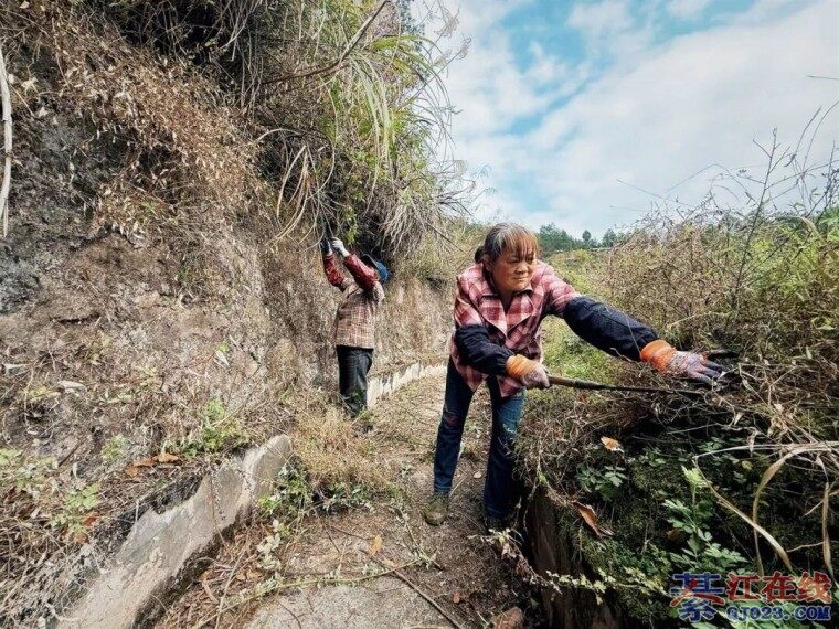 �뽭��������������迣������Ѵ���