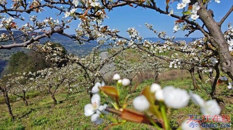 �뽭�����滨��������Լ��Ŷ��