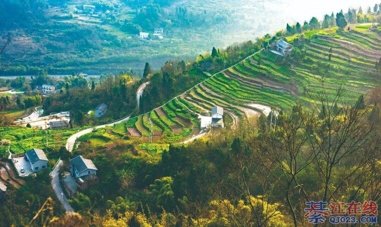 �뽭����ͼ��������ͷ����æŶ