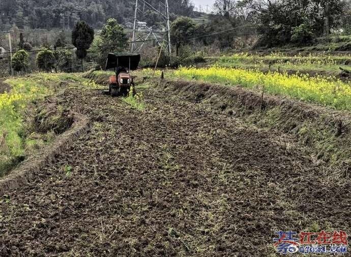 �뽭�������ũ��Ͳ��̷��������ײ�ҵ������Ч