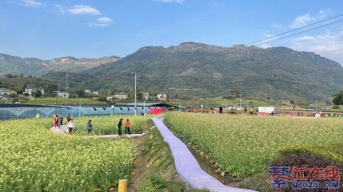 �뽭������Ķ�滨�������ţ�