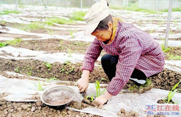 �뽭���в�ס�ˣ��￲��ȫ��æ�����Ӱ