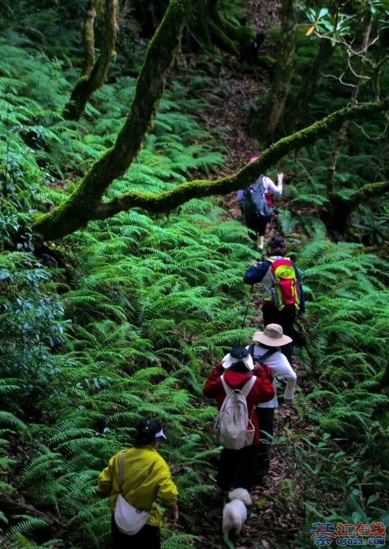 Ѱ���������뽭����10km��ɫͽ����