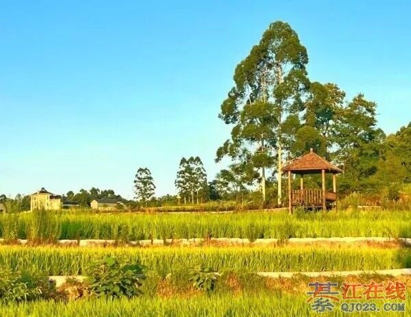 �뽭�����̫�����ˣ������ε����Ŵ򿨵�