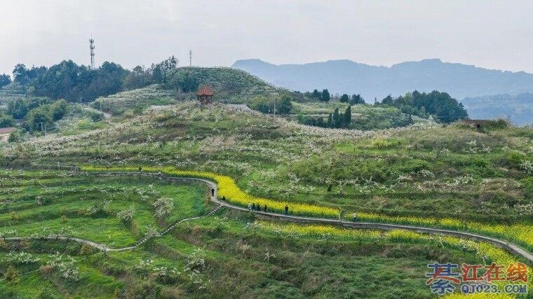 �ߣ�ȥ�뽭���������磡�滨���һ���