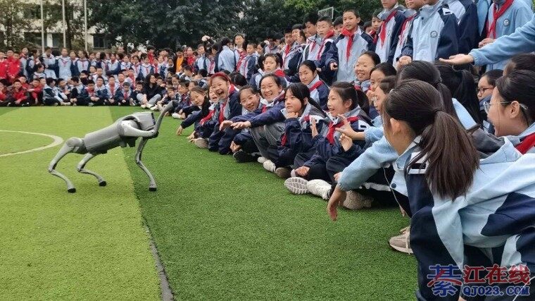 �뽭���ÿ�̫���ˣ�������ֱ������һƬ