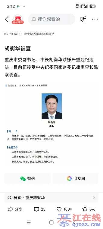 ������쵼����