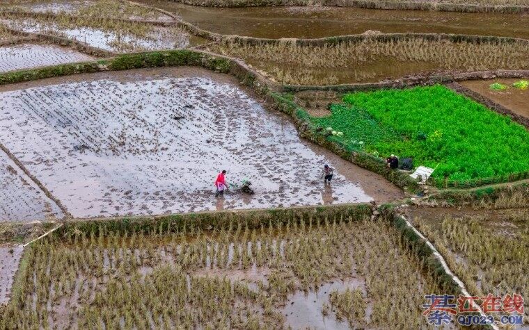 �뽭����ͼˢ�������������ˣ�