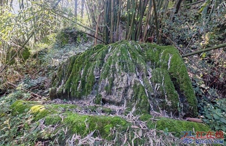 �뽭���ʯͷ̫���ˣ����ɽ����С��