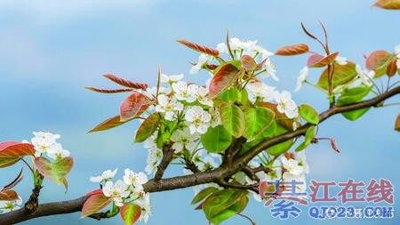 �뽭����������Ŷ���ͻ�����