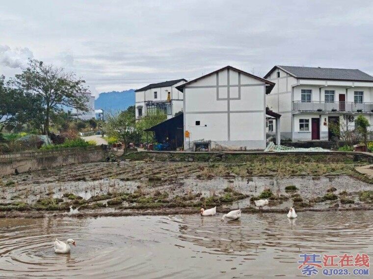 ţ���¶��Ӱ�����뽭��Ƭɽˮ��������