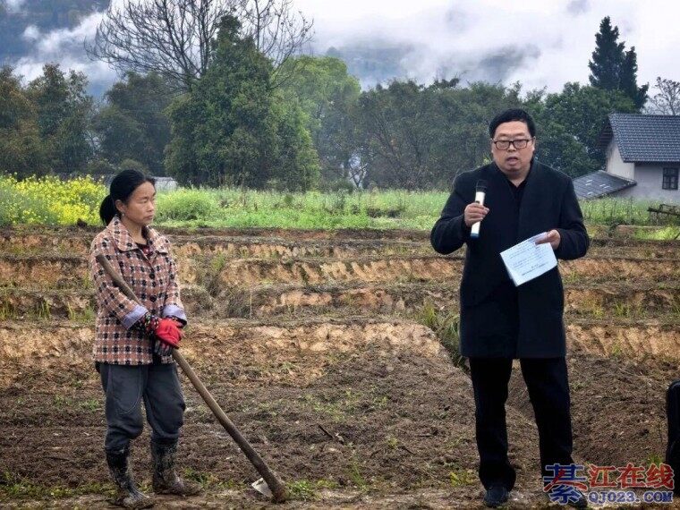 �뽭����ͷ���У����ײ�����������һ����