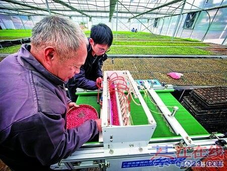 �뽭�����Ƽ��������������˻���΢����������