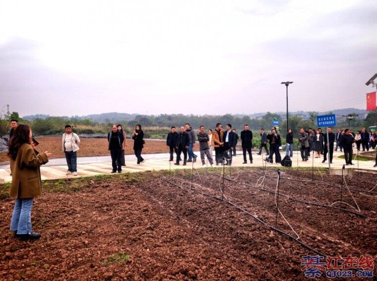 �뽭���������У��������Ѿ����Ƽ�������