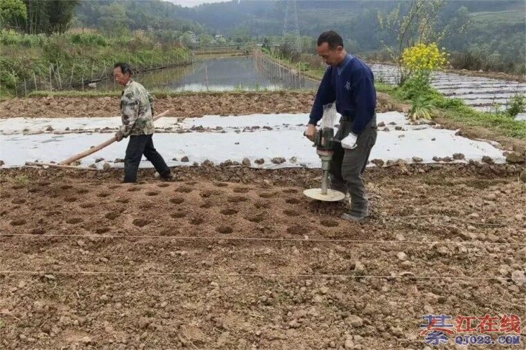 �뽭��ɽ�Ŵ��У����������ա�Ŵ����������