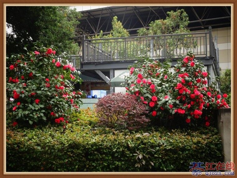 �ڴ���С��·���ߵ������У����Ӱ����