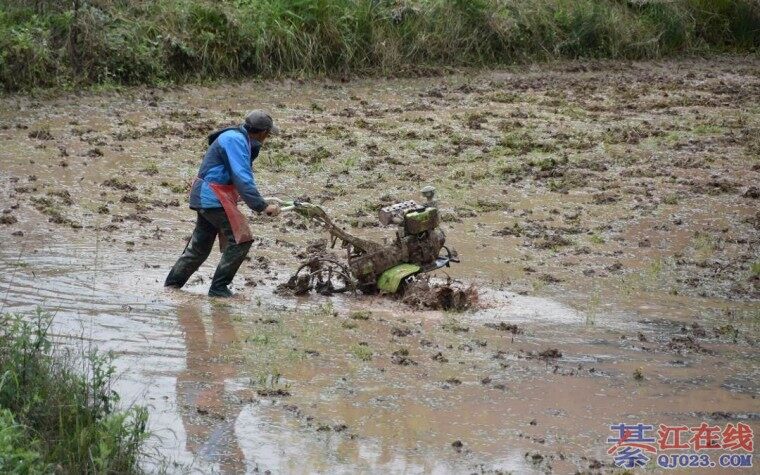 �뽭��ɽ����Ʈ�㣬��������æ��