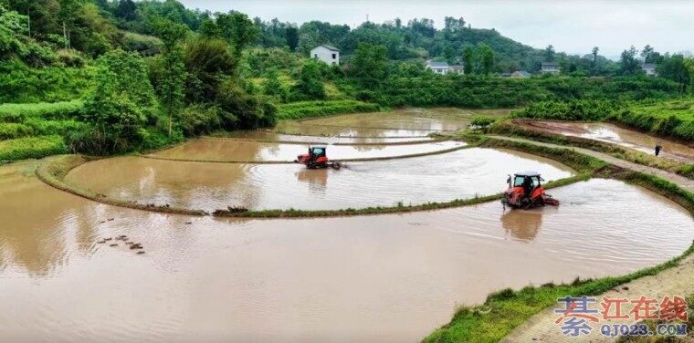 �뽭��е������̫Ӳ���ˣ�