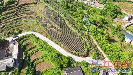 �뽭�����תǧĶ���أ��ƶ���ģ����ֲ������