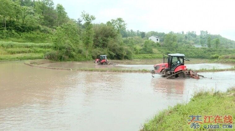 �뽭Ӧ������ƽ�������Լ�ɱ�����֮һ��