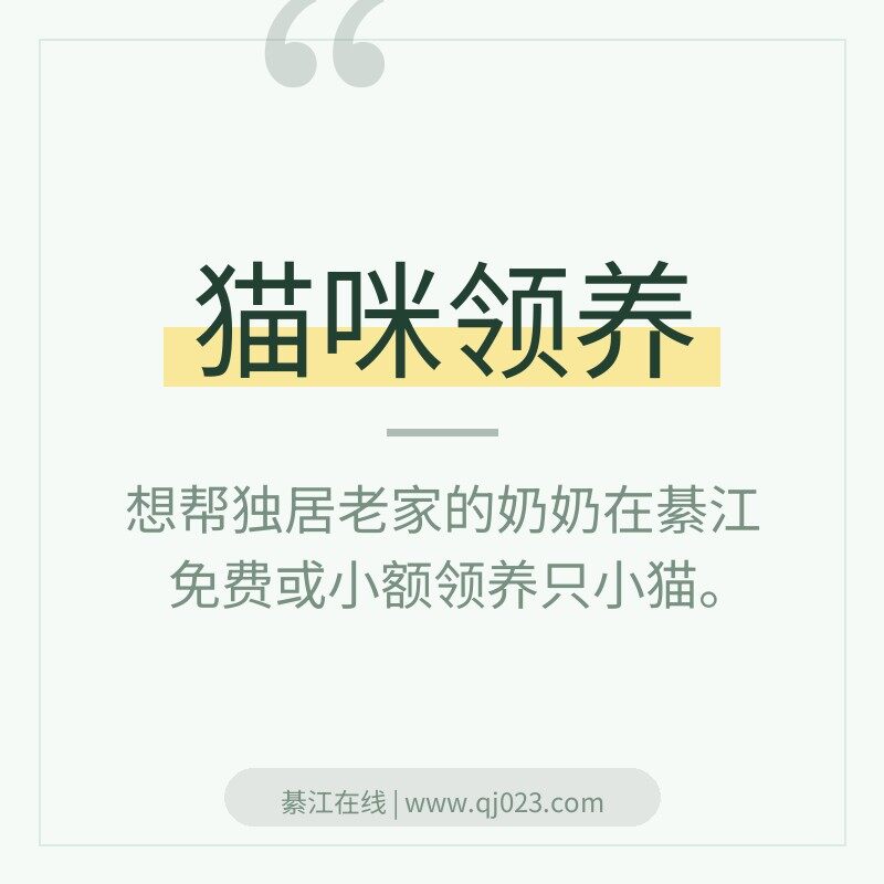 �뽭����ѻ���С��è���������� ����һ�������ϼ� �������ֻè���ȥ