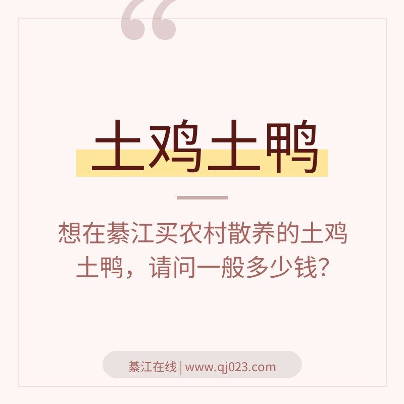 �뽭������������Ѽ����