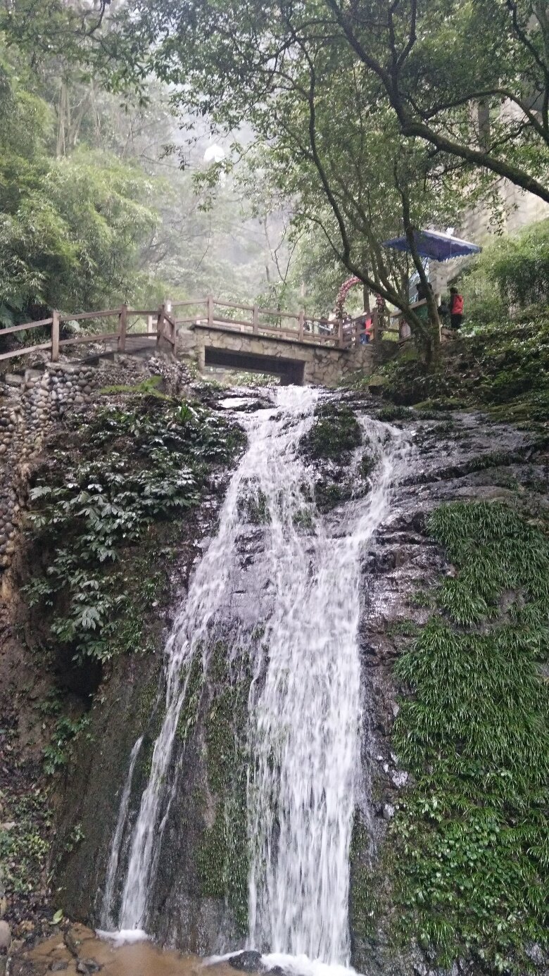 黑山谷石林门票图片