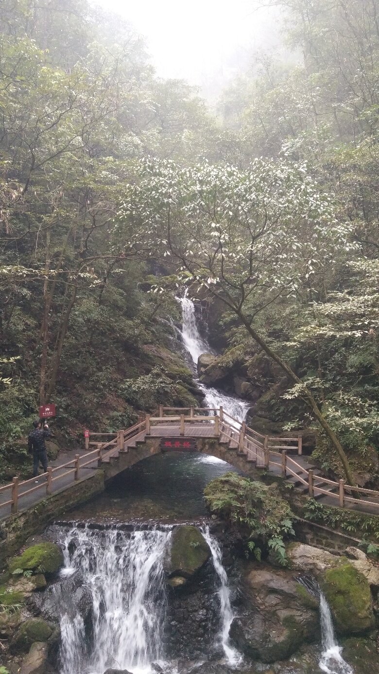 黑山谷石林门票图片