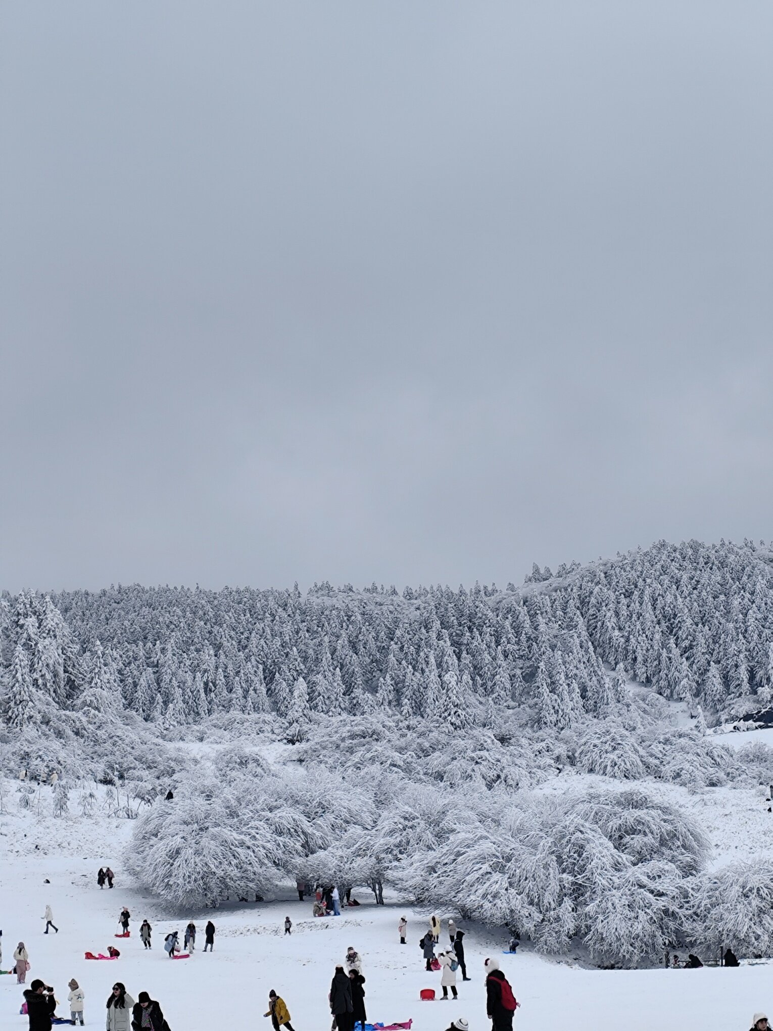 仙女山下雪的图片图片