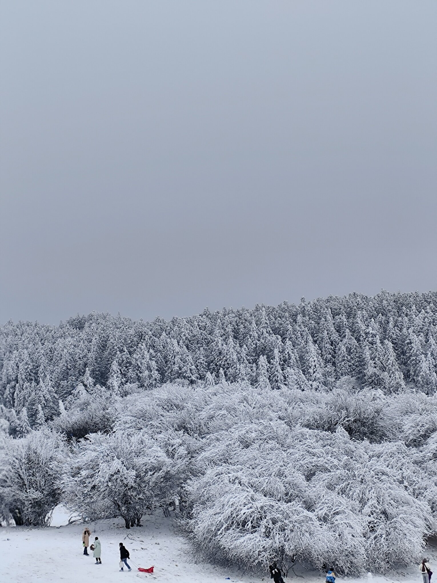 仙女山下雪的图片图片